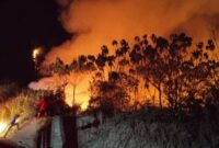 KOBARAN API. Kondisi kebakaran hutan dan lahan (karhutla) di Kabupaten Barito Selatan, Kalimantan Tengah, yang meluas hingga kawasan Jalan Trans Kalimantan Poros Tengah. (Istimewa/Redaksi BBI/Barito Selatan)