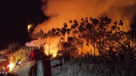 KOBARAN API. Kondisi kebakaran hutan dan lahan (karhutla) di Kabupaten Barito Selatan, Kalimantan Tengah, yang meluas hingga kawasan Jalan Trans Kalimantan Poros Tengah. (Istimewa/Redaksi BBI/Barito Selatan)