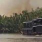 POLUSI. Kondisi wisata di Taman Nasional Tanjung Puting, Kalimantan Tengah, diselimuti asap tebal akibat kebakaran hutan dan lahan, mengganggu jarak pandang serta aktivitas wisata alam. (Istimewa/Redaksi BBI/Kota Waringin Barat)
