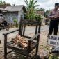 ILUSTRASI. Penemuan bayi laki-laki di atas kursi rusak di pinggir jalan Dusun Drusah, Desa Prenduan, Kecamatan Pragaan, Sumenep, Senin (19/10/2026). Polisi melakukan penyelidikan untuk mengungkap pihak yang diduga meninggalkan bayi tersebut. (Istimewa/AI/Redaksi BBI/Sumenep)